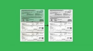 Зелена карта для авто: як оформити, скільки коштує та що потрібно знати водіям