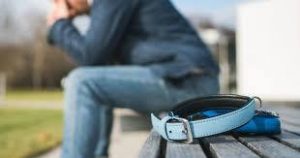 Сколько стоит кремация животных в Одессе: цены, виды и что важно знать заранее