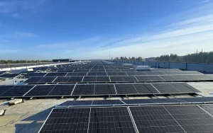 Сонячні електростанції для бізнесу: повний розбір від вибору системи до реальної окупності